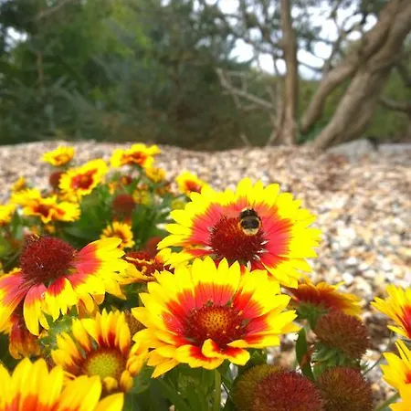 Carrabaun House فندق مبيت وإفطار ويستبورت